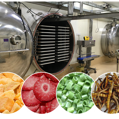 Food Processing Industrial Hemp Freeze Dryer Herb Freeze Dryer Machine Vacuum Freeze Dryer